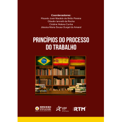 Princípios do Processo do Trabalho